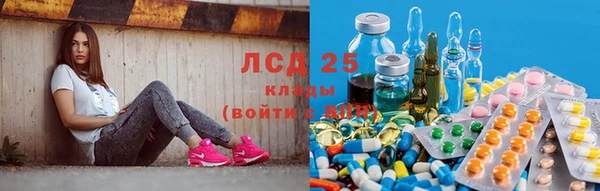 винт Няндома