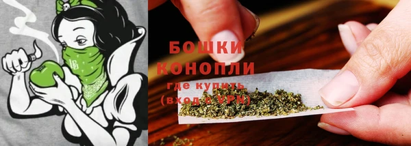 винт Няндома