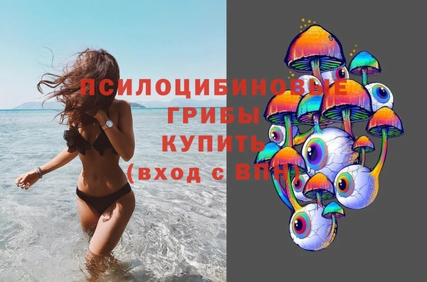 винт Няндома
