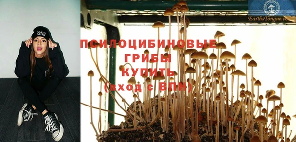 a pvp Нязепетровск